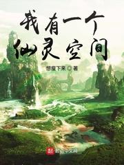 我有一个仙灵空间txt