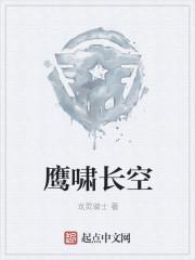 鹰啸长空txt