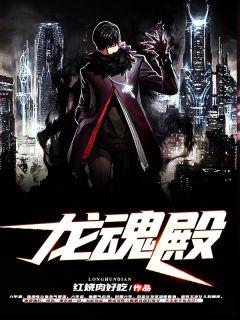 龙魂殿沈飞全文免费阅读