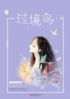 过境鸟是什么意思