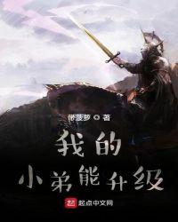 我的小弟能升级顶点