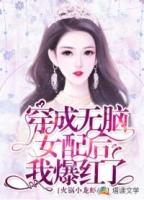 穿成女主文中的无脑男主