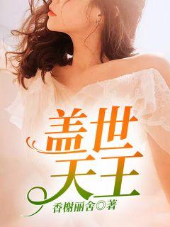 盖世天王陈枫林初夏