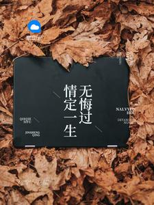 一胎二宝沈蔓歌大结局1422