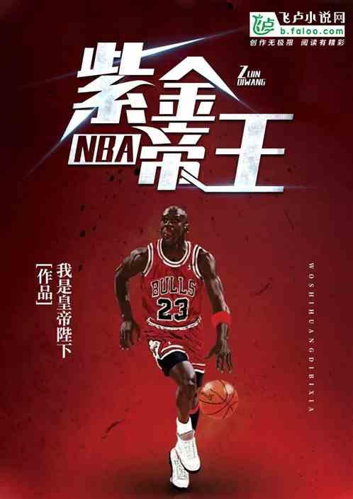 NBA紫金帝王全文免费阅读