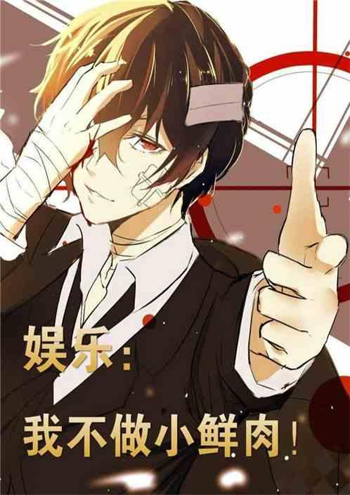 娱乐我不做小鲜肉!盗版