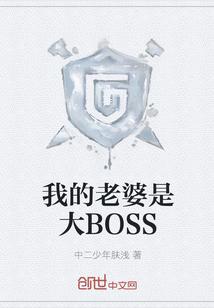 我的老婆是大BOSS-中二少年肤浅百度百科