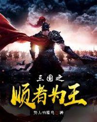 三国之顺者为王txt奇书
