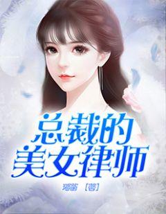 女总裁男律师