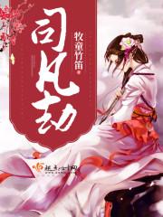 司凡劫免费阅读