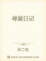 寻爱日记游戏