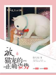 针管喂猫的正确姿势