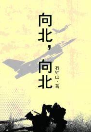 电影向北向北