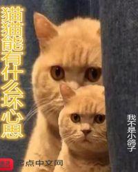 猫猫能有什么坏心思呢什么意思