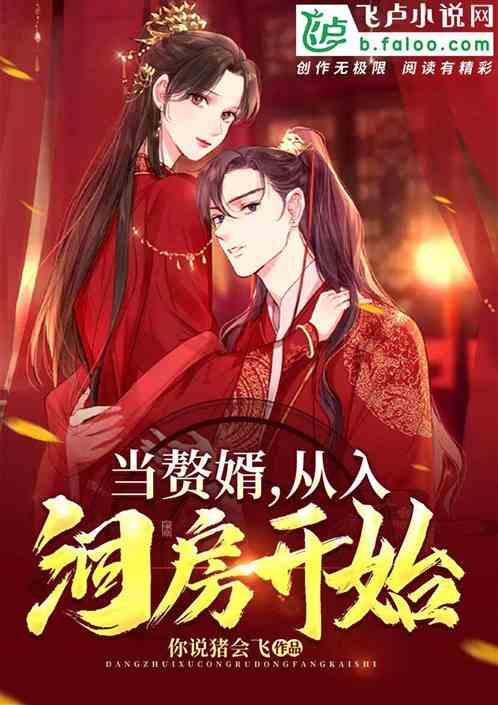 赘婿入洞房是第几集