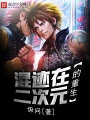 混迹在二次元的重生书评