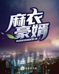 麻衣神婿百科