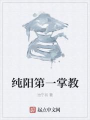 纯阳第一掌教txt全本