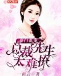 总裁的豪门先生