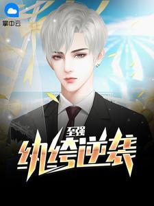 许苏晴张天的