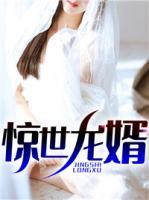惊世狂婿