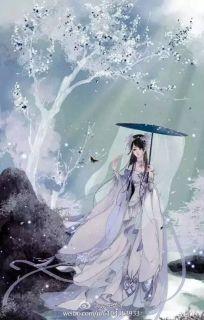 林沐沐云渊全节