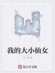 我的大小仙女老婆全文免费阅读