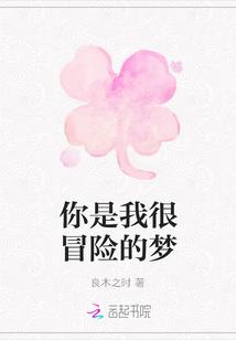 你是我很冒险的梦歌词