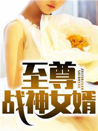 至尊战神女婿双神