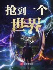 抢到一个世界txt