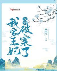 我家王妃又去破案了txt