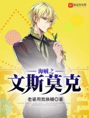 海贼之文斯莫克家