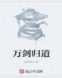 万剑归宗百度百科