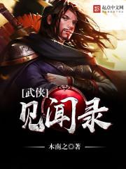 武侠见闻录 顶点