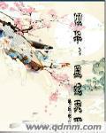 医妃倾诚天下电视剧免费观看