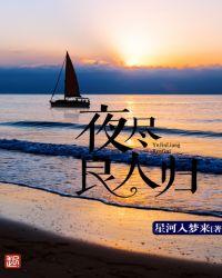 夜尽良人归txt