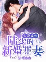 久爱成疾陆少的新婚罪妻免费全文