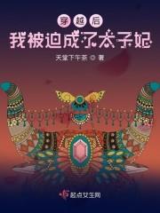穿越后我被迫成了太子妃免费阅读