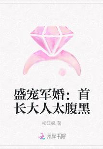 盛宠军婚首长大人太腹黑 鸡简介