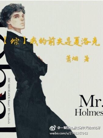我的前夫是夏洛克