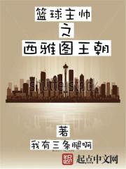篮球主帅之西雅图王朝txt