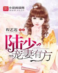 陆少宠妻靠套路