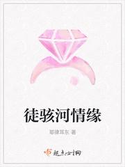 中华路徒骇河大桥
