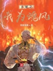 斗破之魂风起点