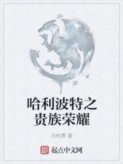 哈利波特之荣耀系统