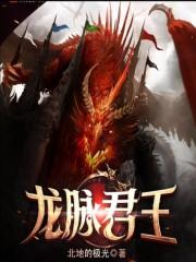 龙脉君王txt