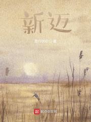 新迈腾330豪华版