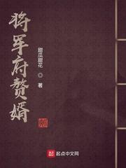 将军系列之将军府的女婿