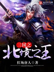 三国之北境之王2k