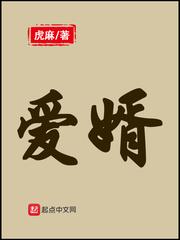 爱婿是指什么意思